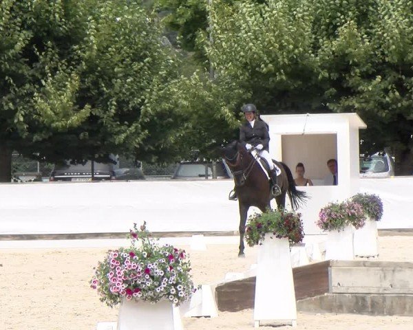 Reitturnier Balsthal 2024