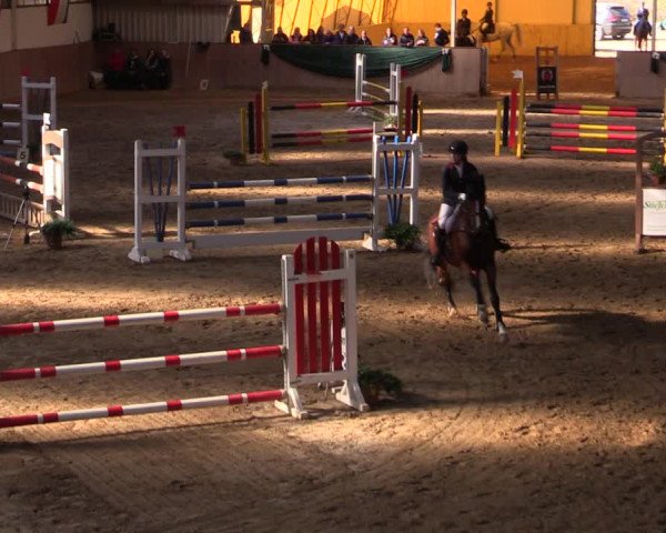 Reitturnier Wollersleben 2021