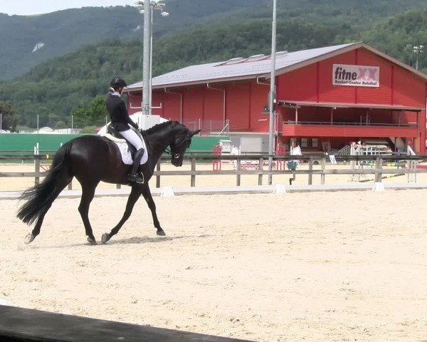 Reitturnier Balsthal 2024