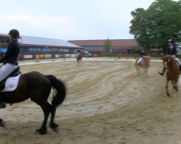 Reitturnier Marienheide-Kempershöhe 2024