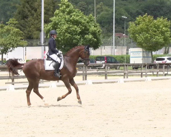 Reitturnier Balsthal 2024