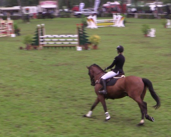 Reitturnier Etingen 2024