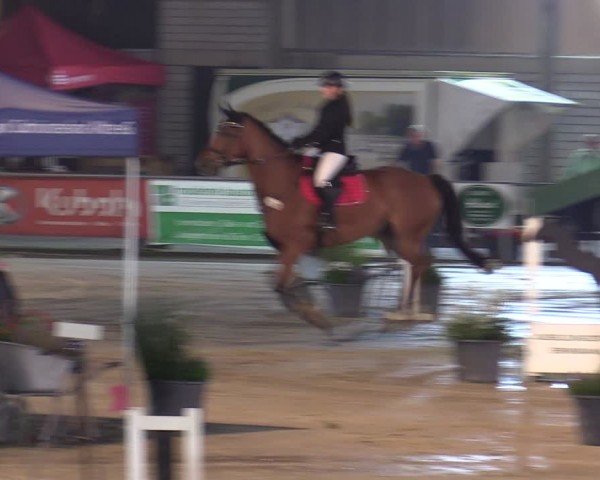 Reitturnier Olfen-Vinnum 2024