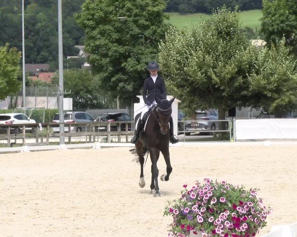 Reitturnier Balsthal 2024