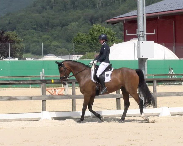 Reitturnier Balsthal 2024