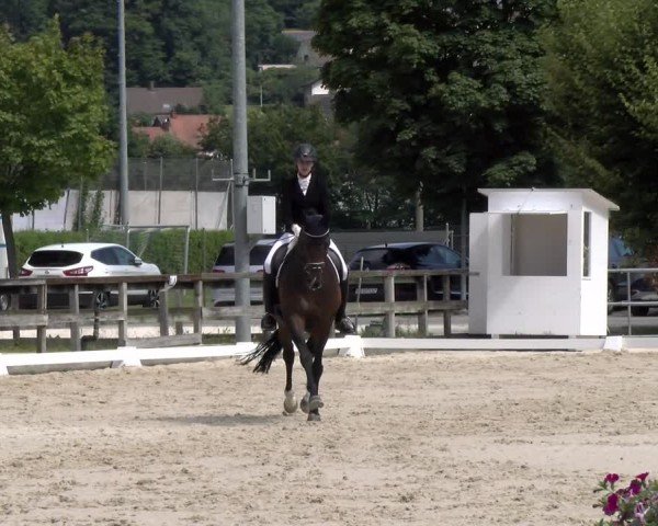Reitturnier Balsthal 2024