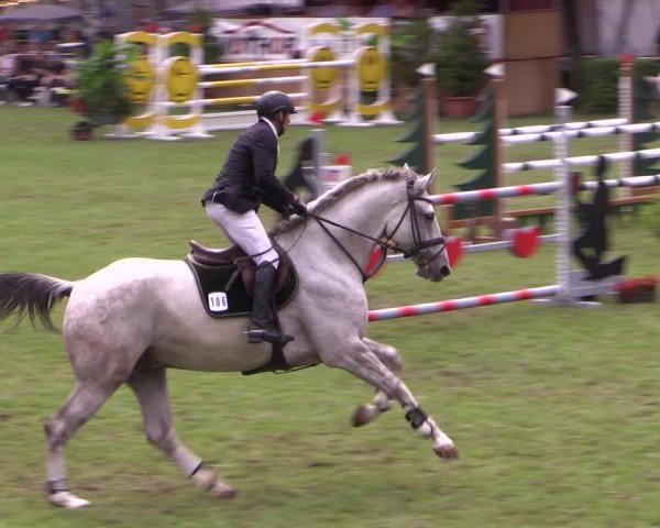Reitturnier Etingen 2024