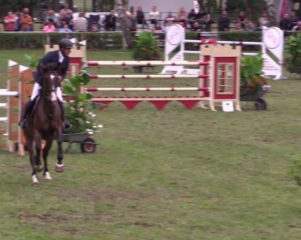 Reitturnier Etingen 2024