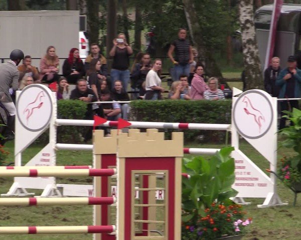 Reitturnier Etingen 2024