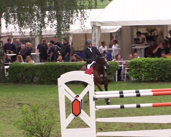 Reitturnier Etingen 2024