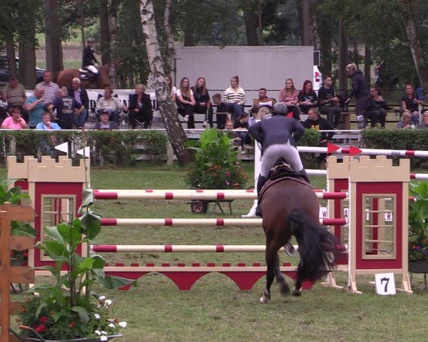 Reitturnier Etingen 2024