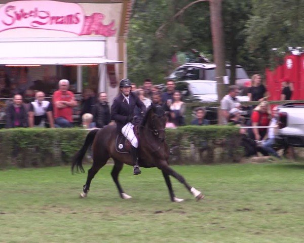 Reitturnier Etingen 2024