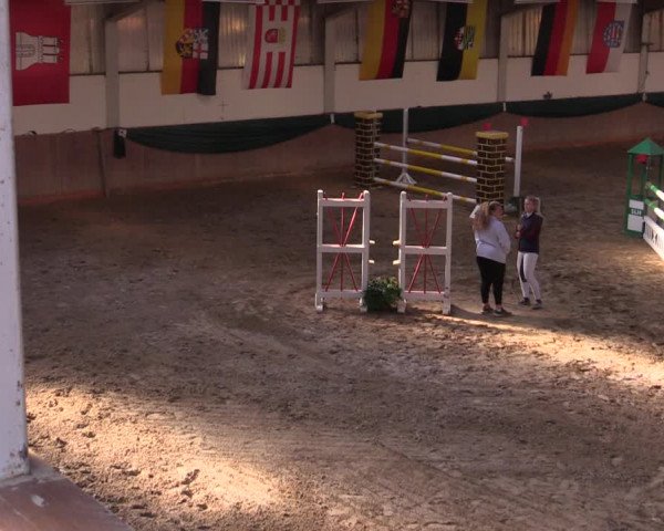 Reitturnier Wollersleben 2021