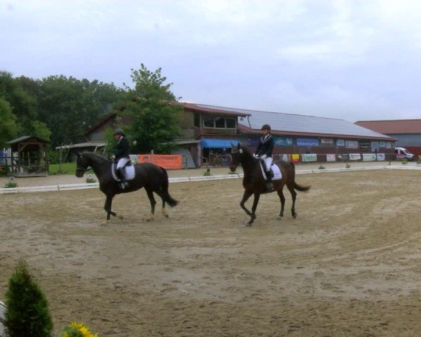 Reitturnier Marienheide-Kempershöhe 2024