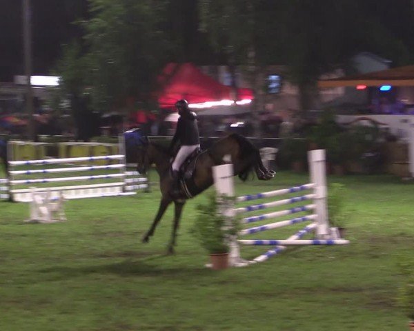 Reitturnier Etingen 2024
