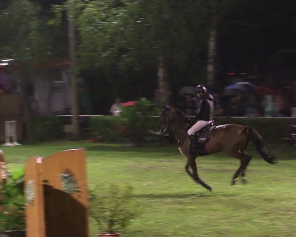 Reitturnier Etingen 2024