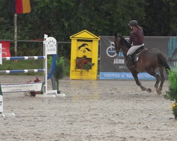 Reitturnier Bad Wildungen 2024