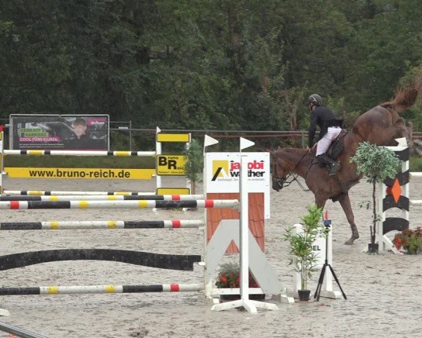 Reitturnier Bad Wildungen 2024