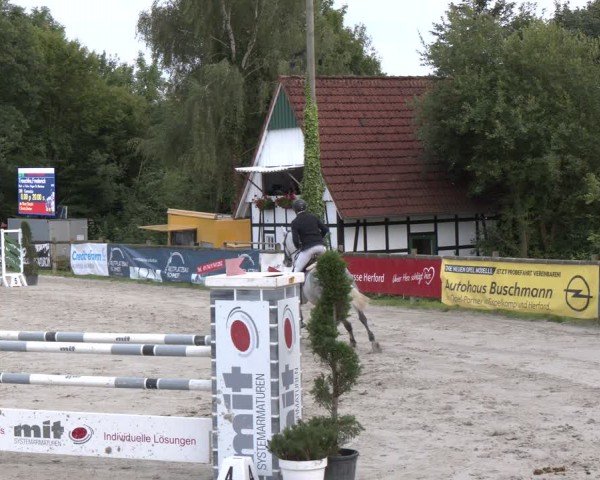 Reitturnier Vlotho-Exter 2024