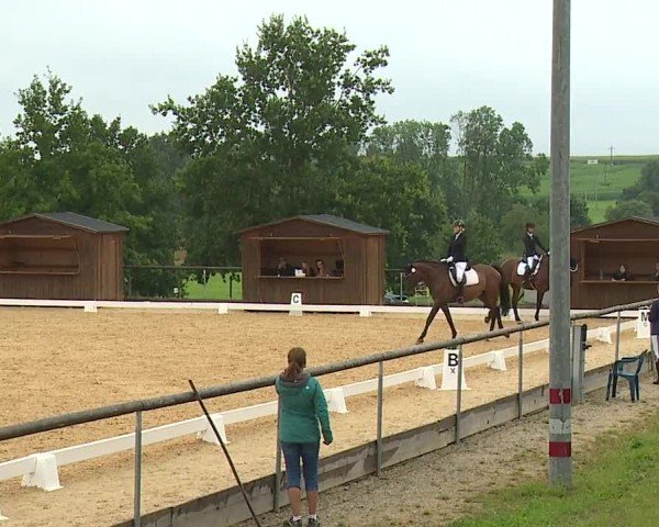 Reitturnier Altentrüdingen/Mfr. 2024