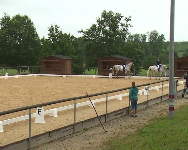 Reitturnier Altentrüdingen/Mfr. 2024