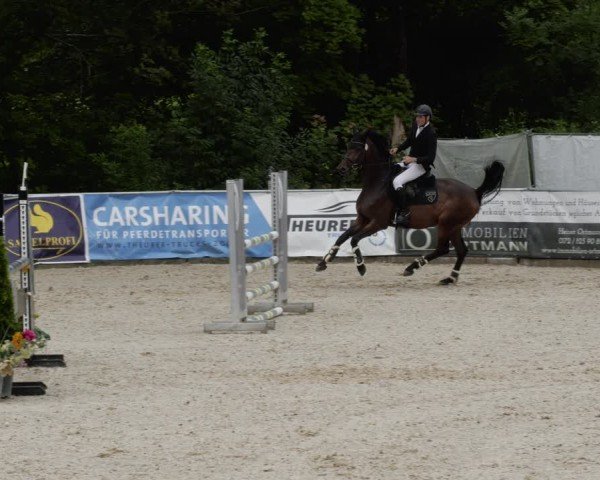 Reitturnier Karlsfeld/Obb. 2024