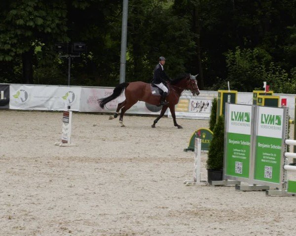 Reitturnier Karlsfeld/Obb. 2024