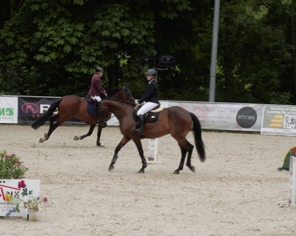 Reitturnier Karlsfeld/Obb. 2024