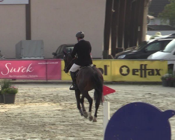 Reitturnier Olfen-Vinnum 2024
