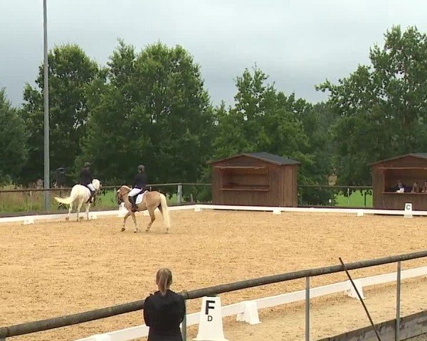 Reitturnier Altentrüdingen/Mfr. 2024