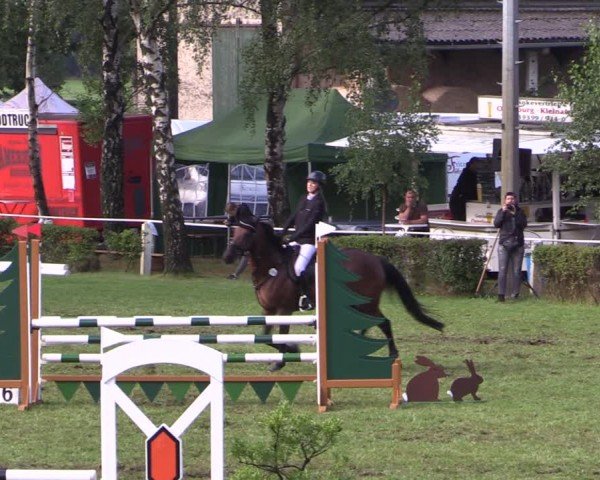 Reitturnier Etingen 2024