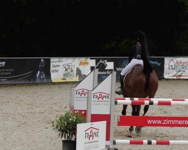Reitturnier Karlsfeld/Obb. 2024