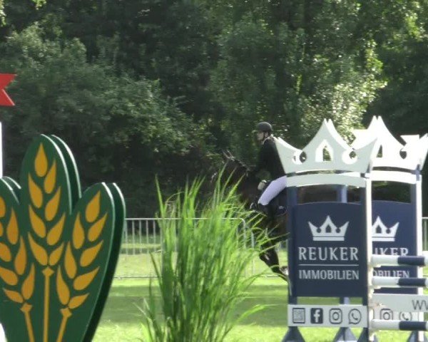 Reitturnier Hannover/Reiterstadion 2024