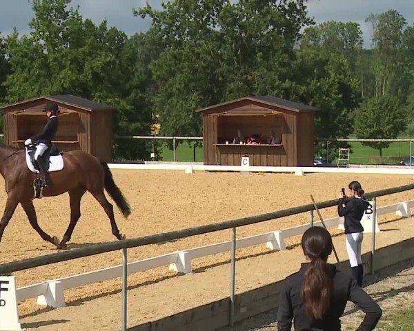 Reitturnier Altentrüdingen/Mfr. 2024