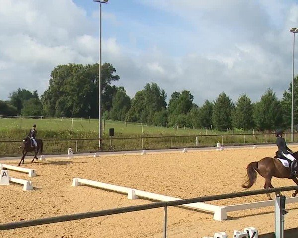 Reitturnier Altentrüdingen/Mfr. 2024