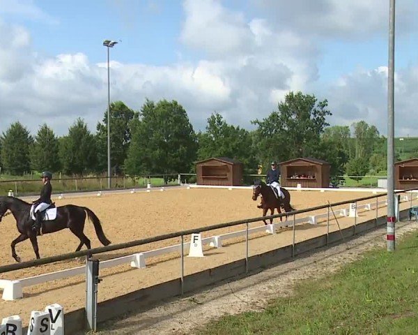 Reitturnier Altentrüdingen/Mfr. 2024