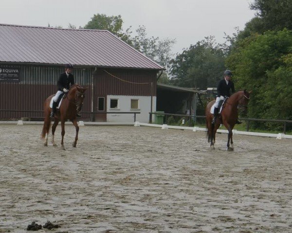 Reitturnier Marienheide-Kempershöhe 2024