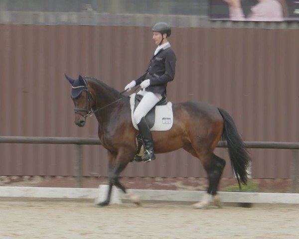 Reitturnier Marienheide-Kempershöhe 2024