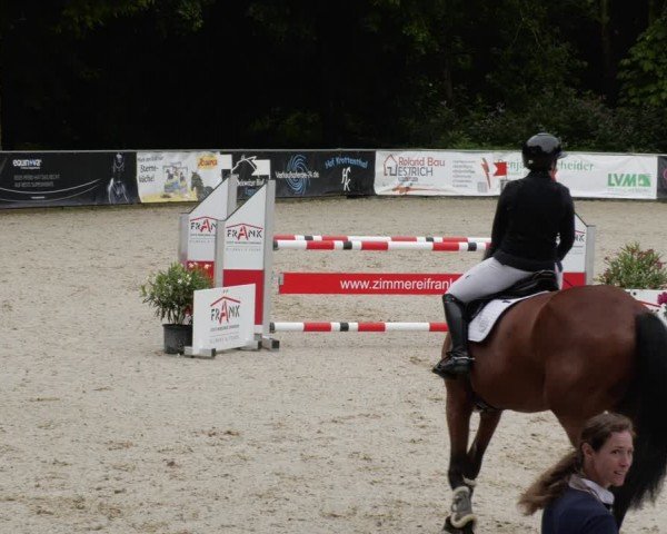 Reitturnier Karlsfeld/Obb. 2024