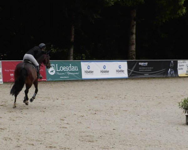 Reitturnier Karlsfeld/Obb. 2024