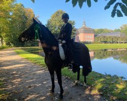 broodmare La Rue (Westphalian, 2010, from L'espoir)