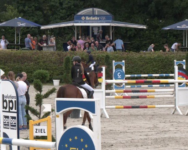 Reitturnier Vlotho-Exter 2024
