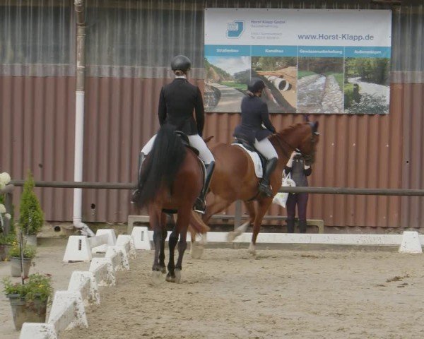 Reitturnier Marienheide-Kempershöhe 2024