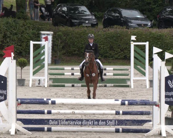 Reitturnier Vlotho-Exter 2024