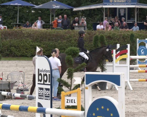 Reitturnier Vlotho-Exter 2024