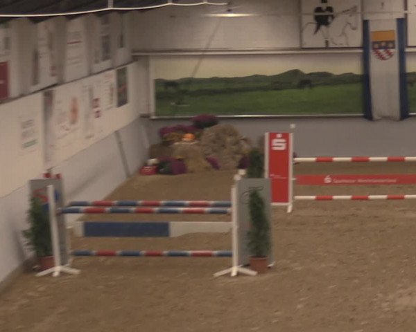 Reitturnier Legden 2021