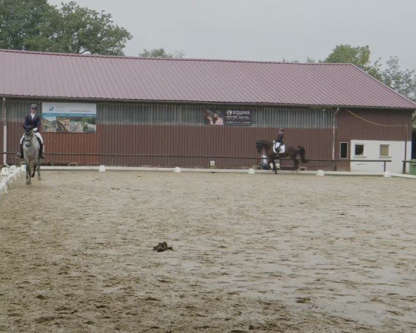 Reitturnier Marienheide-Kempershöhe 2024