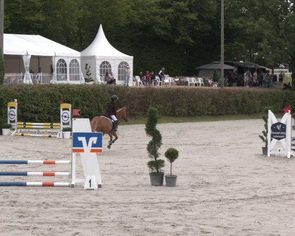 Reitturnier Vlotho-Exter 2024