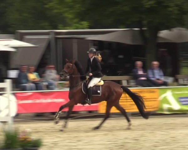 Reitturnier Olfen-Vinnum 2024