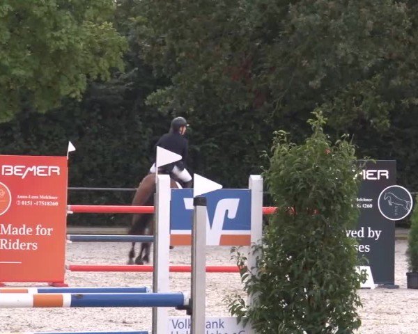 Reitturnier Rot am See Musdorf 2024